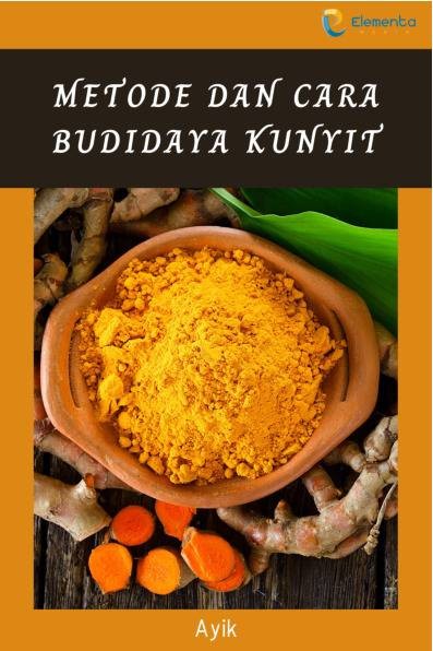 Metode dan Cara Budidaya Kunyit